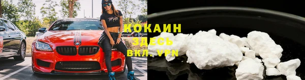 дмт Михайловск