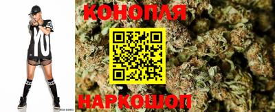 каннабис Гай