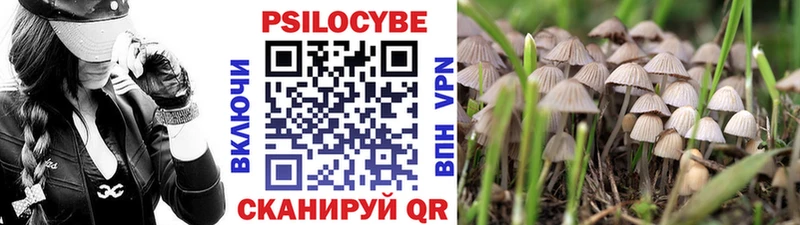 Галлюциногенные грибы ЛСД  хочу   Ирбит 