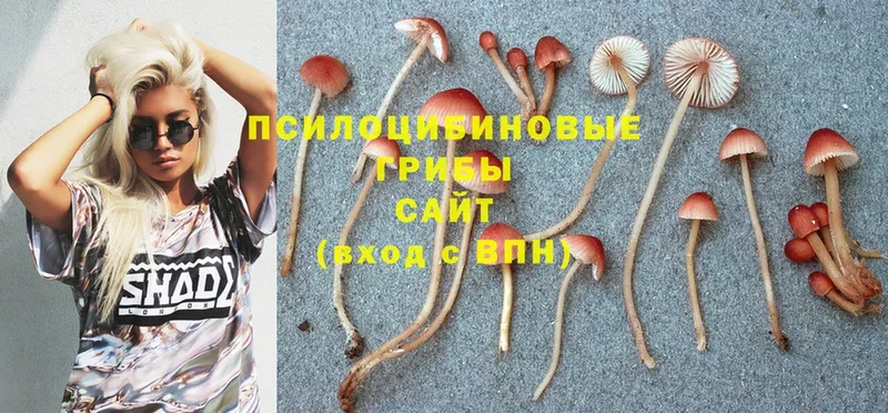 Галлюциногенные грибы Psilocybe  где купить   Ирбит 