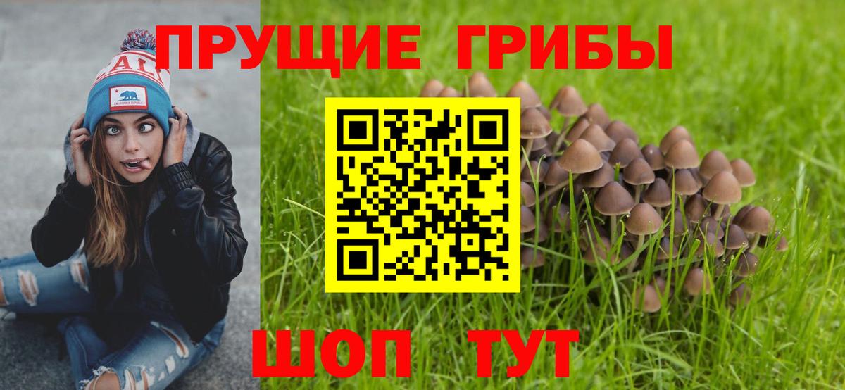 Псилоцибиновые грибы прущие грибы Ирбит