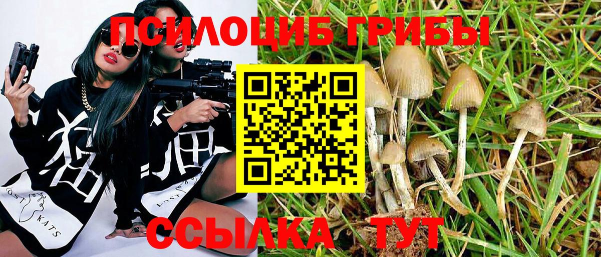 Псилоцибиновые грибы Cubensis  Псилоцибиновые грибы мицелий  Ирбит  Вход с VPN 